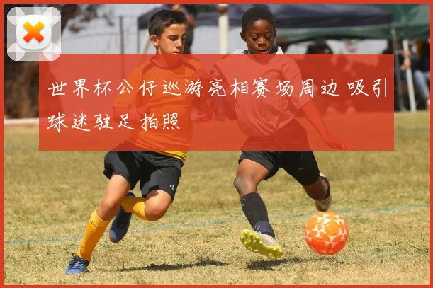 世界杯公仔巡游亮相赛场周边 吸引球迷驻足拍照