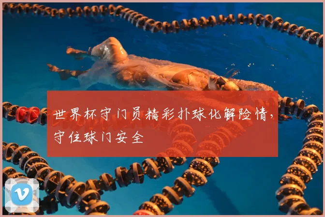 世界杯守门员精彩扑球化解险情，守住球门安全