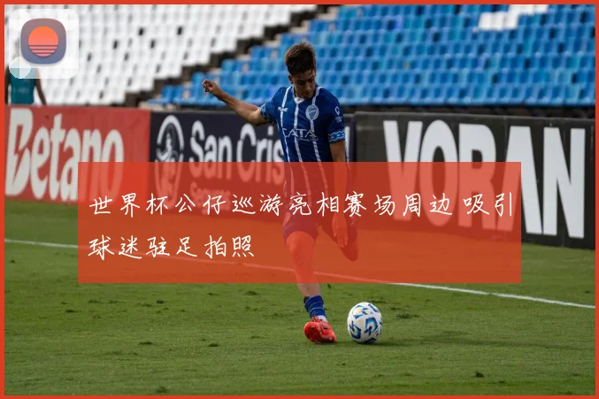 世界杯公仔巡游亮相赛场周边 吸引球迷驻足拍照